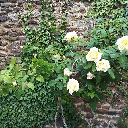 La De Constance Bed & Breakfast Le Mans