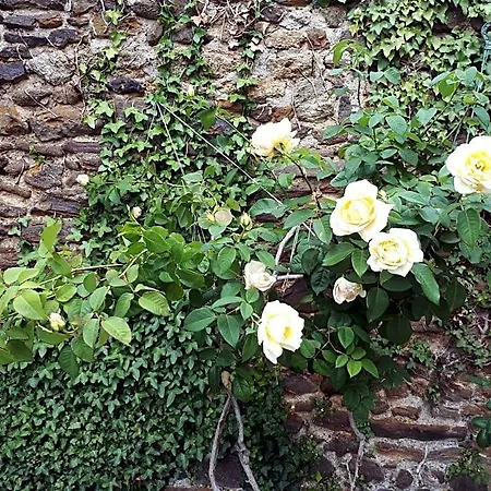 La Maison D`hôtes De Constance * Le Mans
