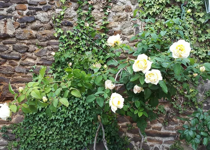 La Maison D`hôtes De Constance Alojamento de Acomodação e Pequeno-almoço Le Mans